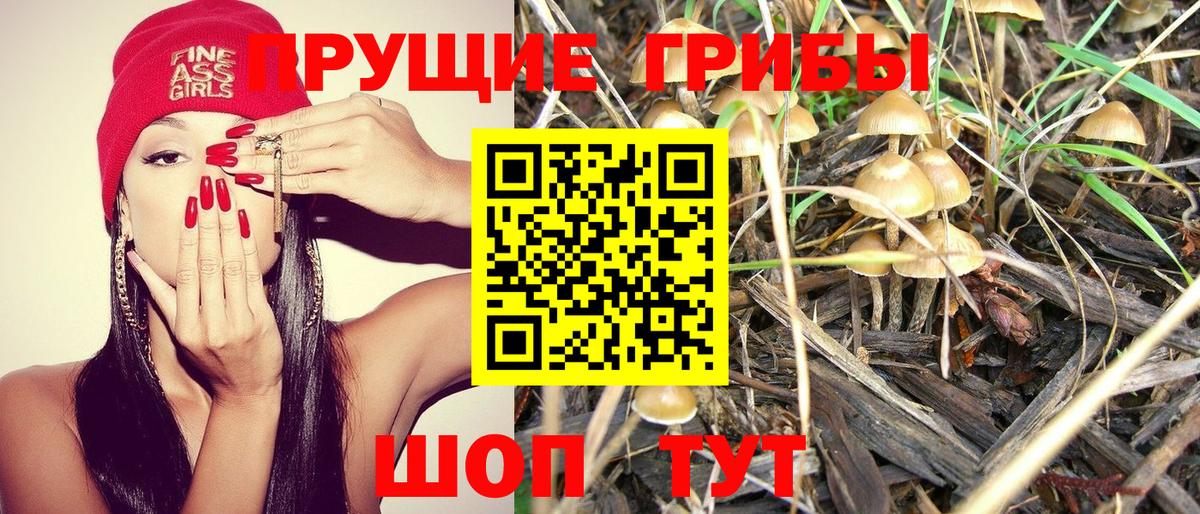 Галлюциногенные грибы мицелий Славгород